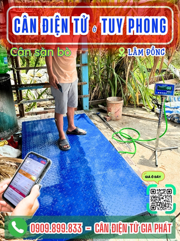 C&acirc;n điện tử ở Tuy Phong L&acirc;m Đồng - C&acirc;n Gia Ph&aacute;t